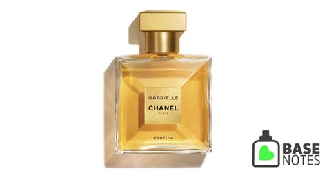 gabrielle chanel perfume basenotes|Chanel gabrielle perfume best price.